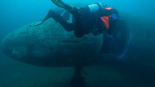 Irreplaceable Memories