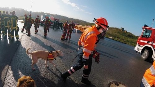 Background image for Rescue after a traffic accident | Exercise with the high-altitude rescuers and the rescue dog squad