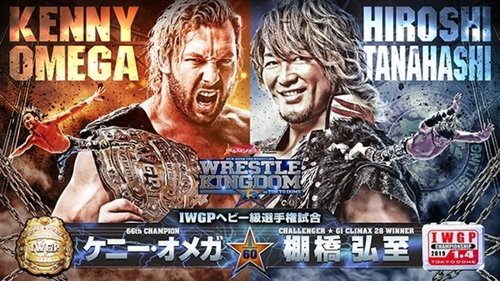 Background image for Wrestle Kingdom 13 In Tokyo Dome