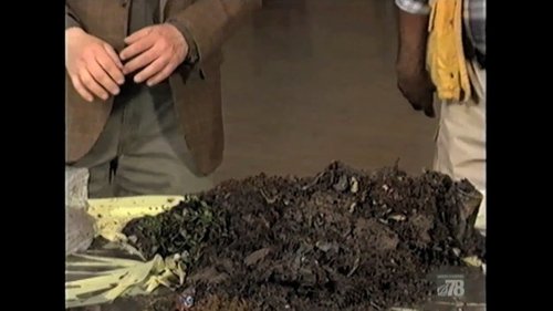 Background image for Revolting Silt