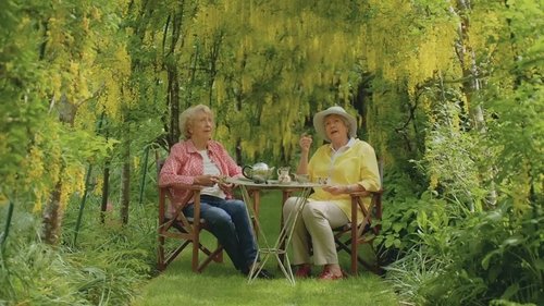 Background image for Episode 13 Seeds, Shade, Habitat, Family, Meditate & Bulb