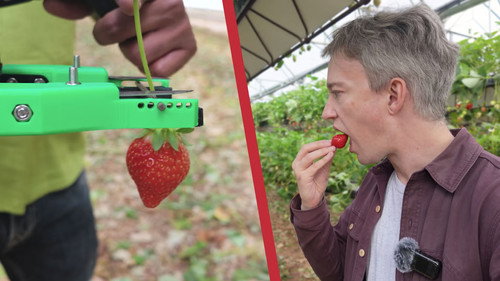 Why Robots Can’t Pick Strawberries Yet