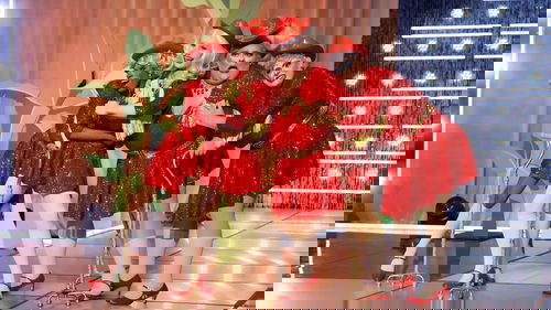Background image for Old Friends Gold