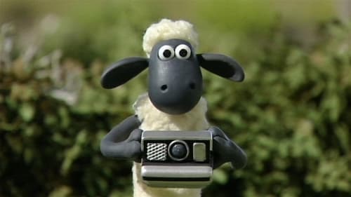 Shaun Shoots the Sheep