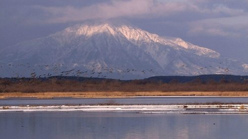 Background image for Sarobetsu Plain
