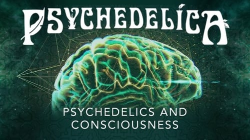 Psychedelics and Consciousness