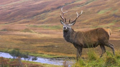 Background image for Scottish Highlands