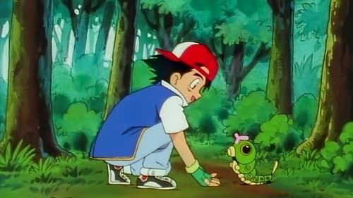 Ash Catches a Pokémon