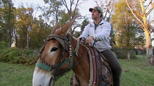 Mule Logger