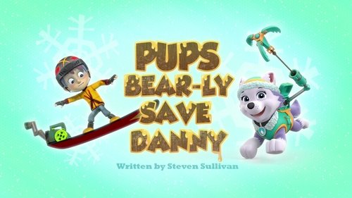 Background image for Pups Bear-ly Save Danny