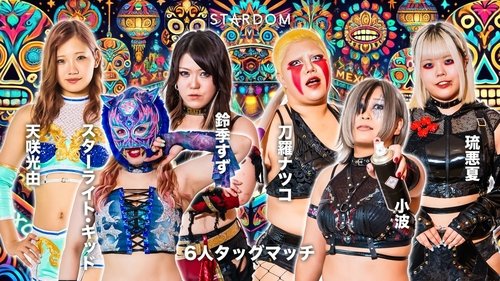 Background image for Stardom in Chiba 2025 Mar.