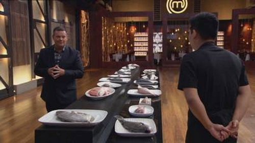 Background image for Elimination Challenge: Fish