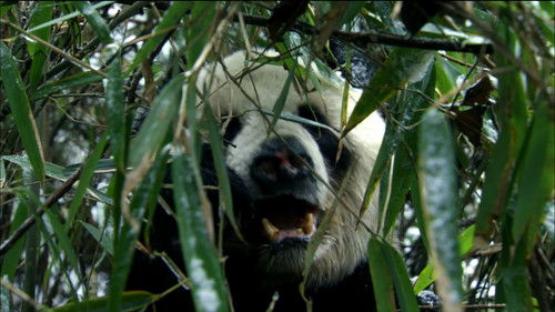 Background image for Episode 10