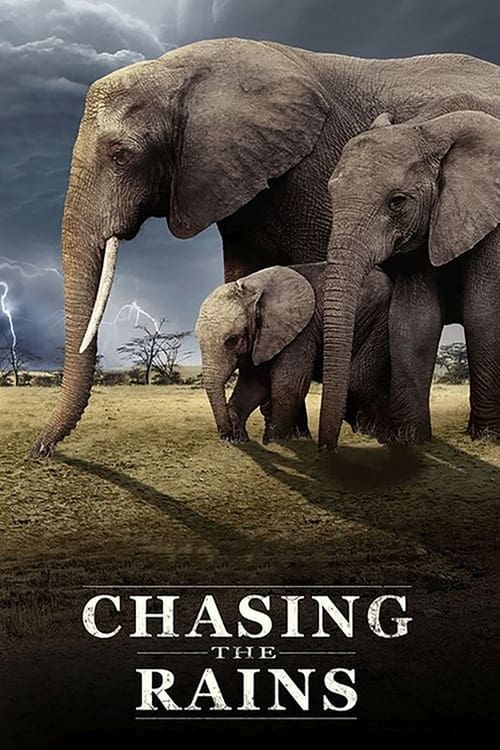 Show cover for Chasing the Rains
