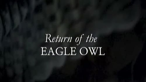 Return Of The Eagle Owl
