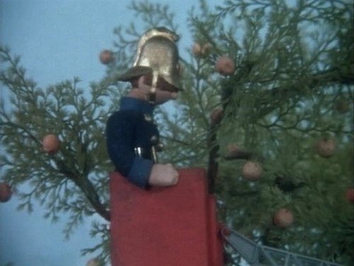 Apples Galore