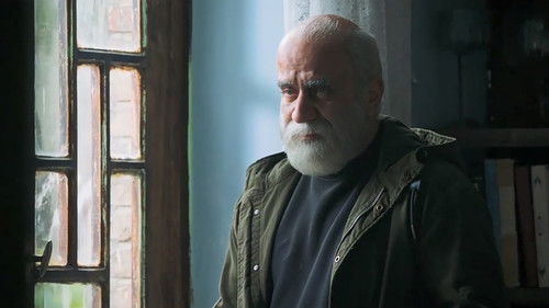 Background image for The Case Transfer