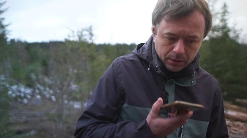 Background image for Romania's Timber Mafia
