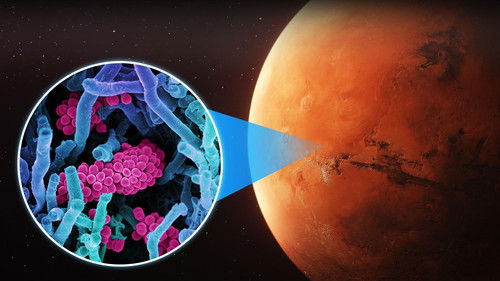 Background image for Why Life on Mars Will DOOM Humanity