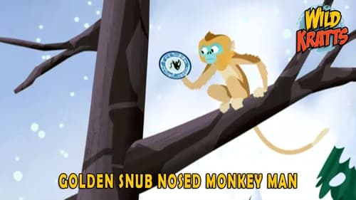 Golden Snub Nosed Monkey Man