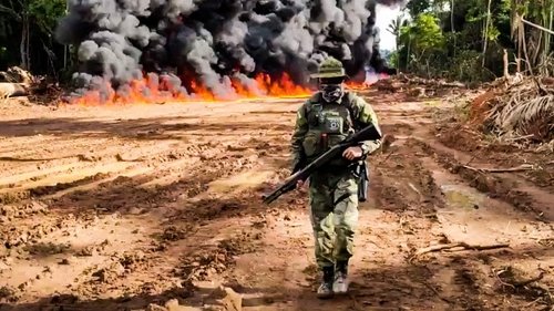 Background image for Anarchy in the Amazon