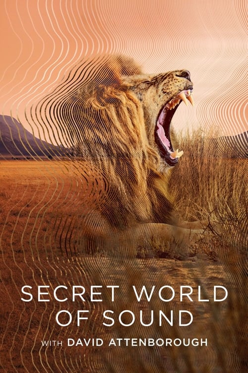 Show cover for Secret World of Sound