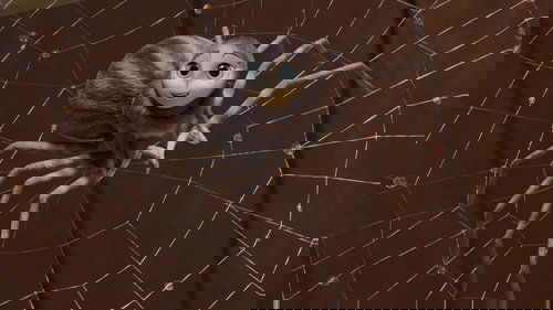 Background image for Part 2