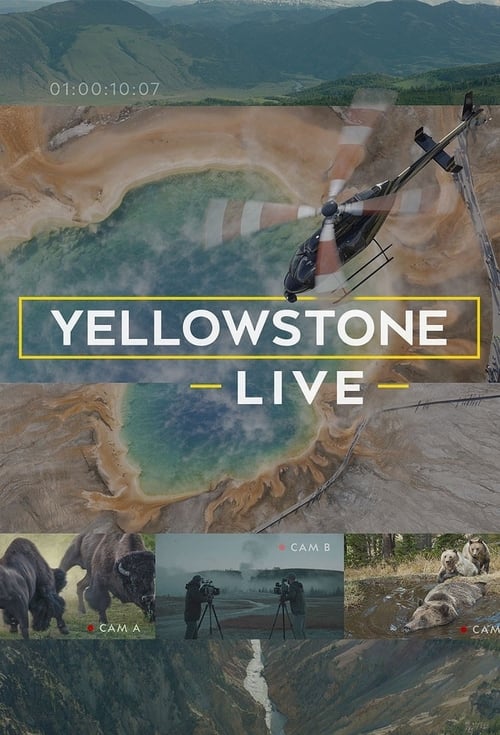 Show cover for Yellowstone Live