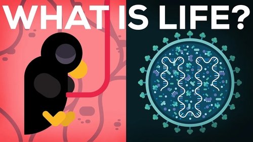 Background image for What Is Life? Is Death Real?