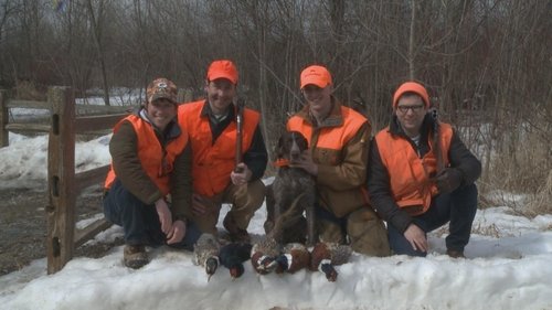 Background image for Pheasant Hunt