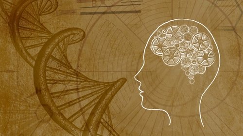 Background image for Conscious Evolution