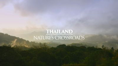 Background image for Thailand: Nature's Crossroads