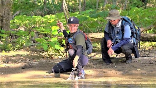 Background image for Fly-Fishing in Secluded Forest Stream