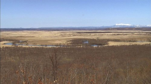Background image for Kushiro Wetland