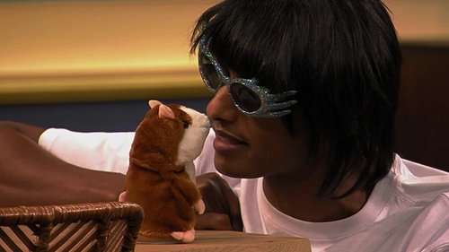 Background image for Hamsters and Flutes
