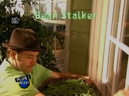 Bean Stalker