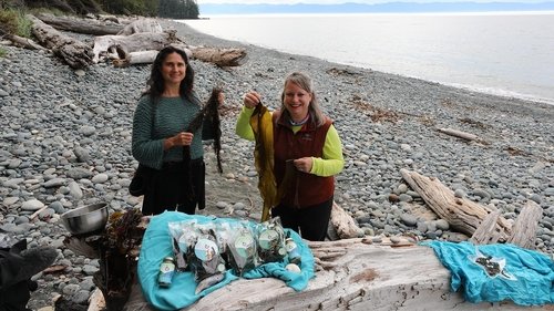 Background image for Seaweed Gin, Métis Stew and Whisky