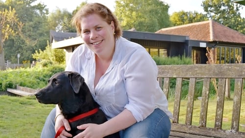 Phil Spencer, Clive Anderson, Katy Brand