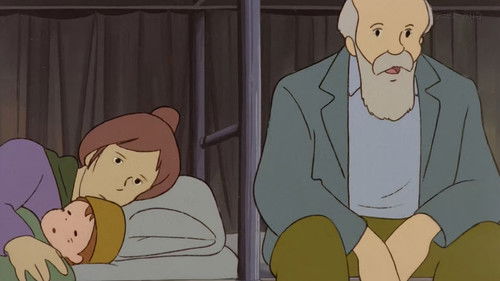 The Shining Stars of the Southern Cross