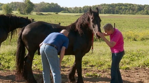 Foaly Moses!