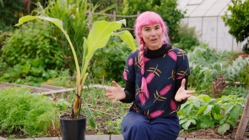 Background image for Episode 22 Winter: Habitat Gardens & Plastic Free July