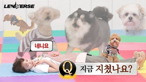 Background image for EP.60 Doggy Pet Sitter: Are you tired now? Yes, yes Part 2