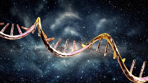 Background image for Your DNA Is (Almost Certainly) From Outer Space