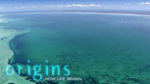 Background image for Origins: How Life Began