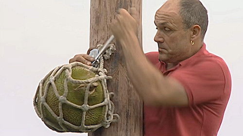 Background image for Episode 13