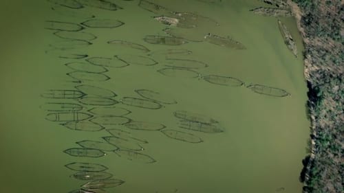 Ghost Fleet of Cannibal Bay