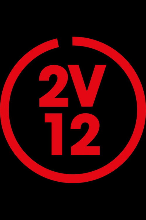 2 voor 12