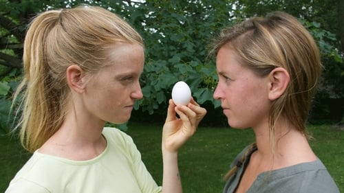 The Egg Drop Challenge