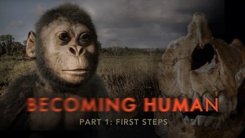 Background image for Becoming Human: First Steps