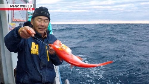 Background image for Tokyo's Sustainable Fishermen